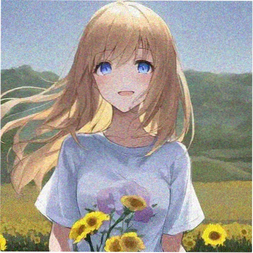 观众拾柒的头像